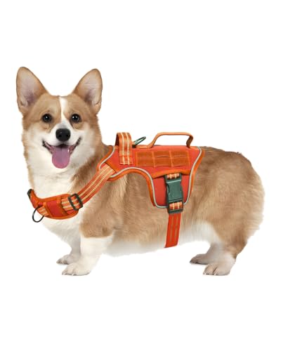 Small Dog Harness, Heavy Duty Tactical No Pull Dog Harness, No Choke, Easy On and Off Pet Vest with Molle System, Adjustable Reflective Dog Vest with Breathable Padded for Walking Hiking Training - color: Orange, size: S(Neck:16-22",Chest:20-28"),18-35 lb