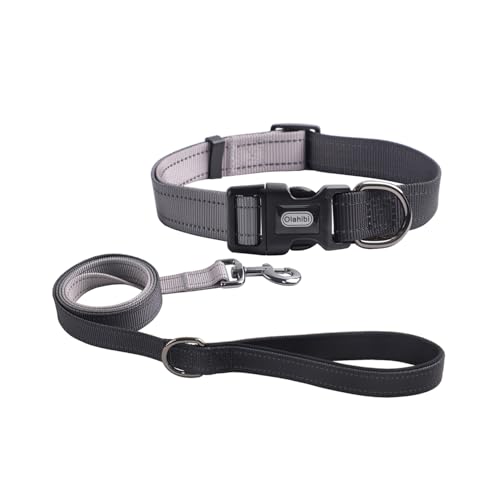 Dog Collar Leash Set, Gradient Color, with Safety Reflective Strips, 5 ft Matching Leash, Neoprene Padded Handle, Adjustable 4 Sizes for Small Medium Large Dogs.(S, Black Grey) - color: Black Grey, size: Small
