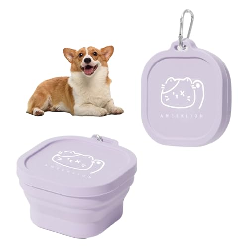 renvena Portable Pet Bowl Set Collapsible Dog Cat Travel Bowls with Lids Carabiners for Food Water for Car Travel Camping Purple One Size - color: Purple
