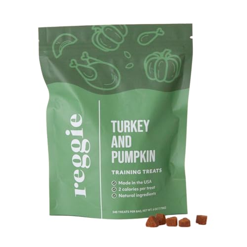 Reggie Dog Training Treats with Enrichment Toy | Turkey & Pumpkin Dog Treats + Forager Ball | Low-Calorie High-Protein Rewards | Mental Stimulation for Dogs | 340 Treats - size: Forager Ball - Turkey & Pumpkin