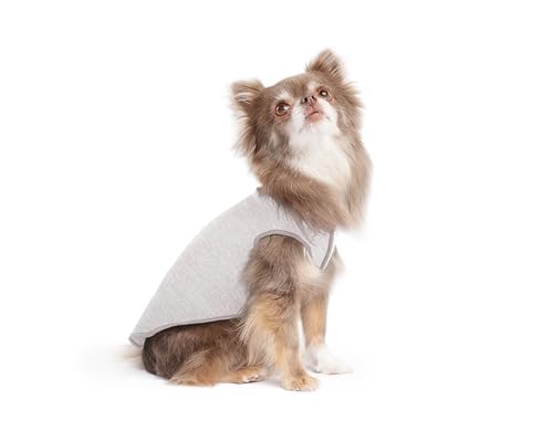 Goldpaw Dog Sun Shirt with UV Protection - Lightweight, Cooling Sun Protection Clothing for Small Dogs - Reduce Heat Absorption - Made in the USA - Machine Washable - Pebble Grey - Size 6 - color: Pebble Grey, size: 6