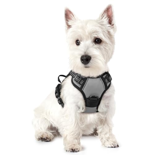 rabbitgoo Dog Harness No Pull with 2 Leash Clips, Adjustable Soft Padded, Reflective Oxford No Choke Pet Vest with Easy Control Handle for Puppy, Grey, XS - color: Gray, size: X-Small