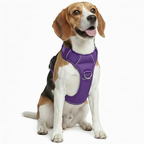 No Pull Dog Harness with 2 Leash Clips, Adjustable Soft Padded Reflective Oxford Pet Vest with Easy Control Handle for Large Dogs (Purple, Medium) - color: Purple, size: Medium