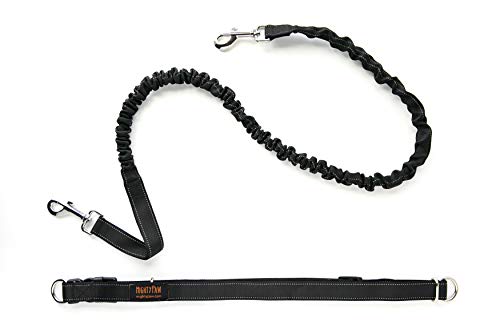 Mighty Paw Hands Free Dog Leash | Bungee Waist Leash for Dog Walking. Pet Running Hands Free Tether for Large, Medium & Small Breeds. Pet Waist Belt (36" - 48") Up to 150 lbs - Black - color: Black, size: 48"