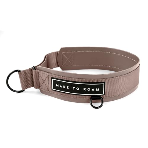 MADE TO ROAM Premium Everyday Dog Collar - Martingale Style No Pull Vegan Leather Collar, Heavy Duty and Lightweight for Small, Medium, Large Dogs (Utah Glow, Size 5) - color: Utah Glow, size: Size 5