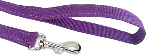 Reflective Dog Leash 4Ft /5 Foot /6 Feet Long, 1 Inch Wide, for Small and Medium Dogs - color: Reflective Purple, size: 1'' x 4 FT