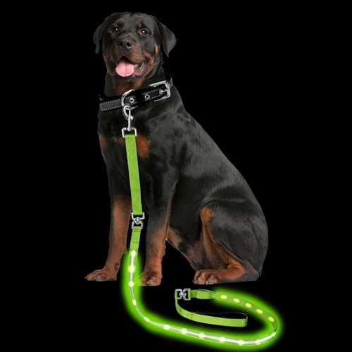 Light up Dog Leash for Night Walking - USB C Rechargeable - Waterproof - Dog Leashes with Flashlight - LED Leash for Dogs - 6Ft, Green - color: Green