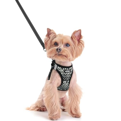 rabbitgoo Dog Harness Small Sized and Leash Set, Step in Soft Light Puppy Vest, Breathable Mesh Pet Harness, Reflective for Safe Easy Walking, Black Zigzag XXS - color: Black Zigzag, size: Xxs (chest: 12.4 - 14.2")