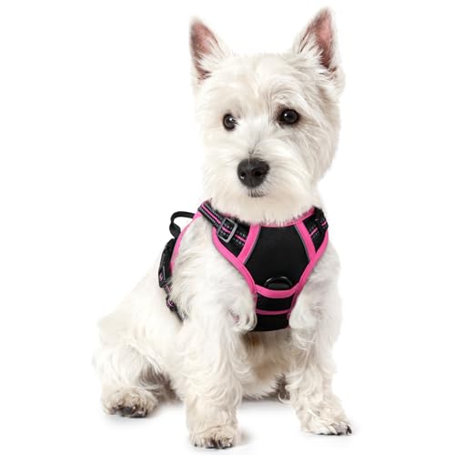 rabbitgoo Dog Harness No Pull with 2 Leash Clips, Adjustable Soft Padded, Reflective Oxford No Choke Pet Vest with Easy Control Handle for Large Dogs, Black & Hot Pink, XS - color: Black & Hot Pink, size: X-Small