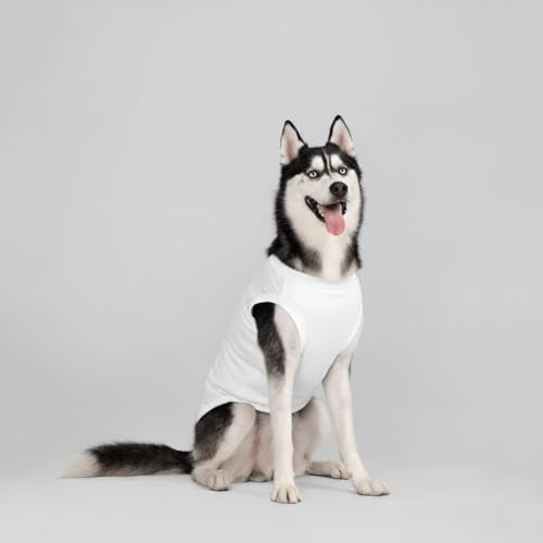 Chol&Vivi Dog Shirts, 4pcs Soft Cotton T-Shirt Clothes, Blank Hoodie/Sweatshirt, XS (14' Chest), Black, Grey, White, Dark Green - color: Black, Grey, White, Dark Green, size: XS (13" Chest)