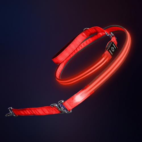 Night Walking LED Dog Leash - 6FT Reflective & Waterproof Light Up Safety Leashes for Dogs - USB Rechargeable, Red - color: Red(Fiber optic version)