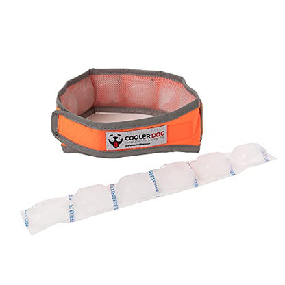 CoolerDog Hi-Vis Cooling Dog Collar for Medium Dogs – Reflective Re-Freezable Ice Collar for Hot Weather & Heat Relief (Orange, Medium) - size: Medium