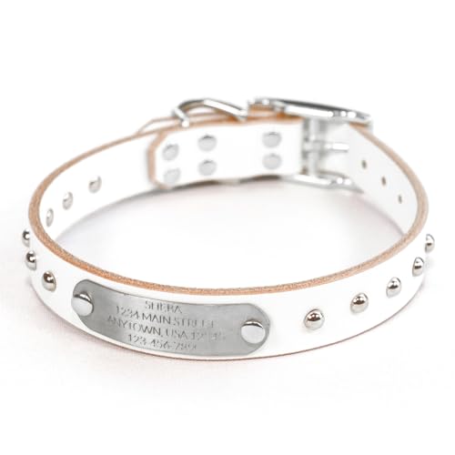 Handmade Studded Bridle Leather Dog Collar, Silver Tone Hardware and Stainless Steel Nameplate (White) - color: White