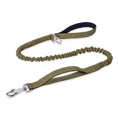BUMBIN 6Ft Dog Leash, Bungee Dog Leash with 2 Handles, Heavy Duty Leashes for Medium Small Dogs, No Pull Shock Absorbing with Car Seat Belt for Training, Green - color: Green