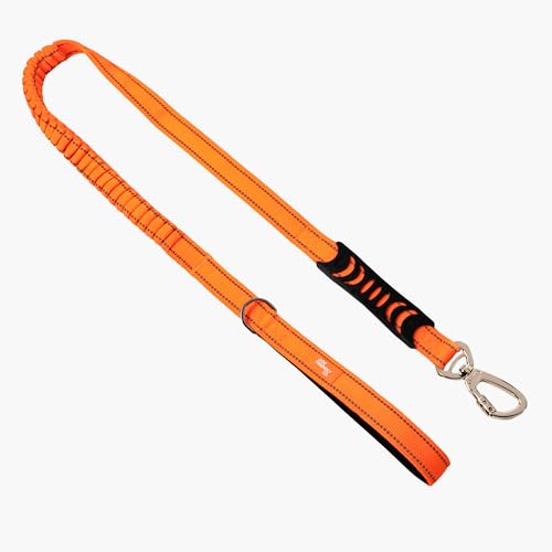 Dog Friendly Co. Bungee Dog Leash | Strain Free & Shock Resistant for Control | Neoprene Padded Handle, Heavy-Duty Carabiner Clip, and D-Ring | Hi-Vis Orange, Size Small - color: Hi-Vis Orange, size: Small