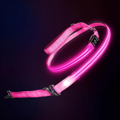Night Walking LED Dog Leash - 6FT Reflective & Waterproof Light Up Safety Leashes for Dogs - USB Rechargeable, Pink - color: Pink(Fiber optic version)
