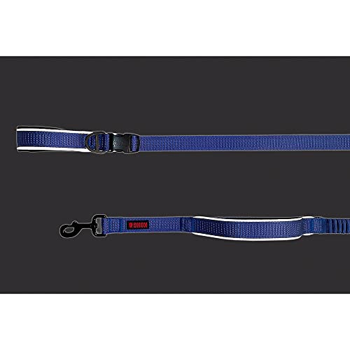 KONG Reflective Shock Absorbing Hands-Free Bungee Dog Leash 6' (Blue)
