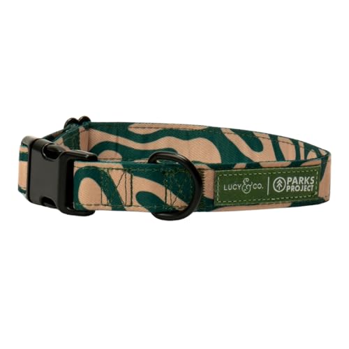 Lucy & Co. x Parks Project Geyser Dog Collar, Adjustable Durable Dog Collar with Cute Print, Small - color: Geyser, size: Small