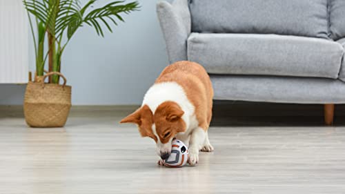 STAR WARS for Pets BB-8 Plush Squeaky Ball for Dogs| Toy for Dogs | Soft Fabric Squeaky Ball Dog Toys, Dog Chew Toys, Gifts for Fans, 4 Inch (FF19189) - size: 4 Inch