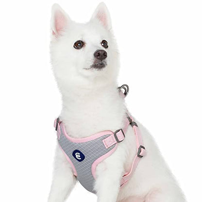 Blueberry Pet Essentials Back to Basics Reflective Dog Harness Vest, Candy Pink, Medium, Adjustable Harnesses for Dogs - color: Candy Pink, size: Medium (Pack of 1)
