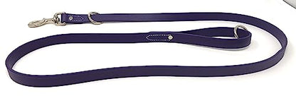 Regal Dog Products Waterproof Leash – 5 ft. Purple Dog Leash with Easy to Use Collar Hook, Lightweight, and Proof Training Pet Lead with Vinyl-Coated Webbing for Small, Medium, Large, or XL Dogs - color: Purple
