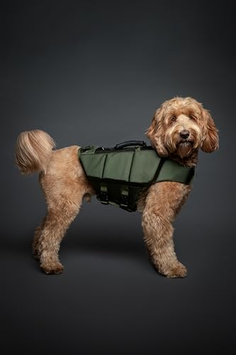 NOAH & PAW Dog Life Jacket, Human Standards Lifejacket Design, Dog Life Vest for Swimming and Boating, 3X Foam Support for Max Floating, Breathable Mesh, Salvavidas para Perros, Size M - size: M