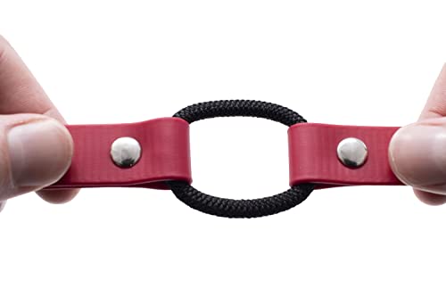 Educator 3/4-Inch Dog Training Collar Strap–ONLY Fits ME-300, ET-300/400, EZ-900, PE-900 & PG-300 Receivers – NOT Compatible with FE-580, ET-800 or UL-1200–Quick Snap Biothane Bungee Collar, Red - color: Red