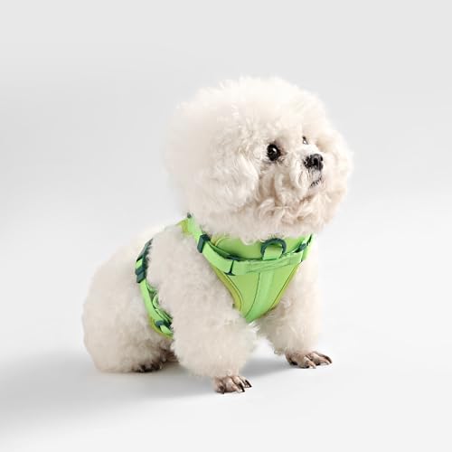 HNS1000B Arlo Extra Small Adjustable Soft Padded No Pull Pet Harness with 3 Buckles and 3 Leash Clips, Mojito - color: Light Green, size: X-Small (Chest: 11.8 - 17")
