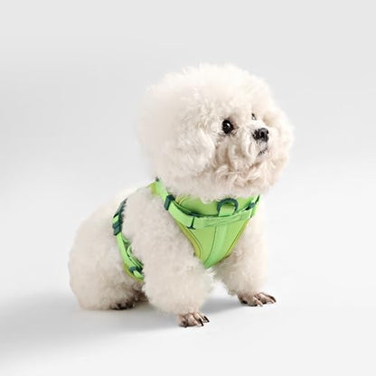 HNS1000B Arlo Extra Small Adjustable Soft Padded No Pull Pet Harness with 3 Buckles and 3 Leash Clips, Mojito - color: Light Green, size: X-Small (Chest: 11.8 - 17")