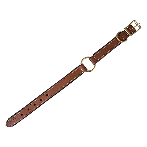 | Genuine Leather Adventure Dog Collar | Full Grain, Heavy Duty | With inner Cushioned padding | Best for Medium, Large & XL Dog (Medium (Fit Neck Size 14.5"-18.5"), Brown With Center O Ring) - color: Brown With Center O Ring, size: M (Fit Neck Size 14.5"