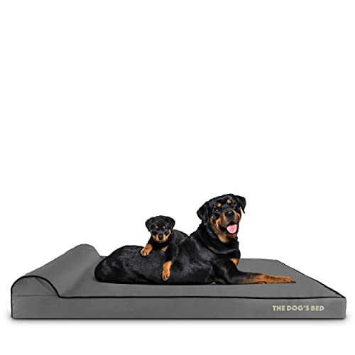 The Dog’s Bed Orthopedic Memory Foam Dog Bed with Headrest, Calming Surface – CertiPUR-Certified Foam, Oxford Fabric, Grey with Black Trim, XXL, 4-Inch - color: Grey with Black Trim, size: XXL (4" deep)