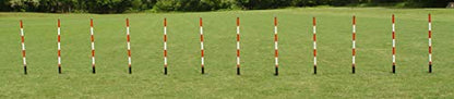 DogSport Dog Agility Weave Poles with Adjustable Spacing (Black) - size: 12 Poles