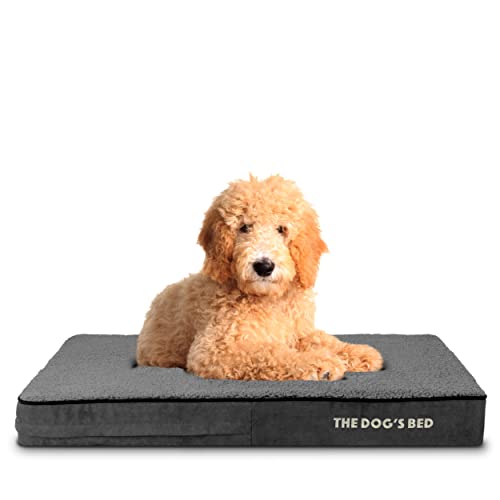 The Dog’s Bed Orthopedic Memory Foam Dog Bed for Large Dogs, Waterproof Washable Cover, Anti-Slip Base, Calming Surface – CertiPUR-Certified Foam, Grey Plush, 4 Inch Thick - color: Grey Plush, size: Large Beds (4" deep)