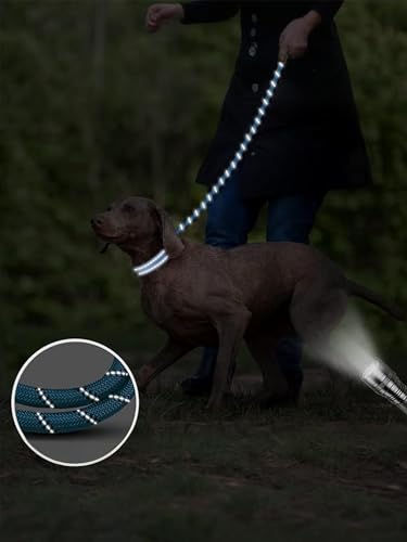 Rope Dog Leash 6 FT with Comfortable Padded Handle, Highly Reflective Threads Dog Leash for Medium Large Dogs, 1/2 inch, Blue - color: Blue