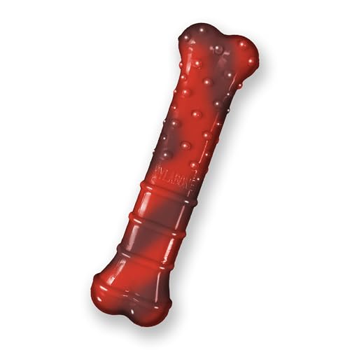 Nylabone Textured Bone Power Chew Toy for Dogs, Durable & Tough Dog Toys for Aggressive Chewers, Beef Jerky Flavor, X-Small Dogs - Up to 15 lbs, 1 Count - size: X-Small