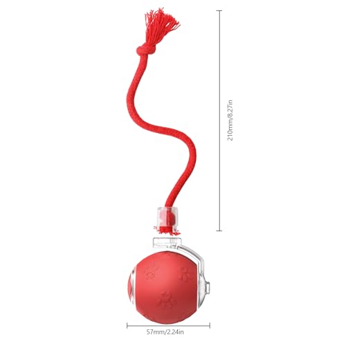 FUNNYDUCK Speed 2.0 Tail Interactive Cat Toys for Indoor Cats – Smart Motion-Activated Rolling Ball with Tail, Chirping Sounds, and USB Rechargeable Design for Enrichment & Exercise - color: Red