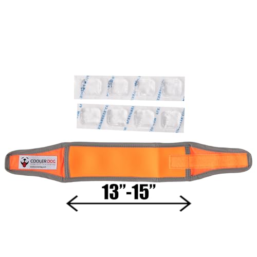 CoolerDog Hi-Vis Cooling Dog Collar for Small Dogs – Reflective Re-Freezable Ice Collar for Hot Weather & Heat Relief (Orange, Small) - size: Small