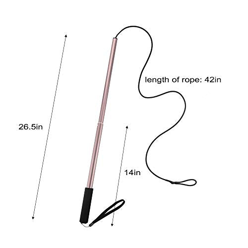 Flirt Pole for Dogs - Extendable Flirt Pole with 2pcs Fleece Lure Tugs for Dog Outdoor Entertainment, Train and Exercise, New Coffee - color: new coffee
