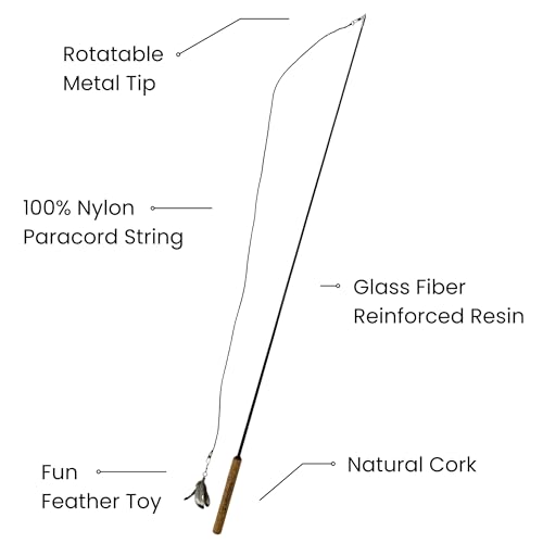 Forever Stick - Unbreakable Cat Wand Toy | Solid 1-Piece Fiberglass Rod - Bends, Doesn’t Break | 3-Year Warranty | 36 Inch Cat Fishing Pole Toy with Spinning Feather Toy | 2-in-1 String Toy and Teaser - size: Forever Stick 1-Pack