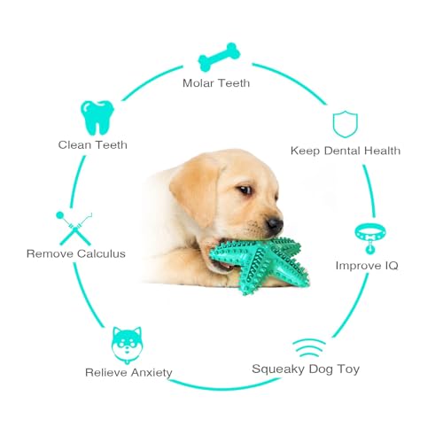 LiuMelinda Dog Chew Toys for Aggressive-Chewers - Indestructible Dog Toy for Aggressive Chewer，Tough Chew Toys for Dogs （Rubber Blue-Starfish） - color: 05-Blue-Starfish