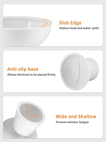 LoeJan Elevated Cat Food and Water Bowls Set, Extra Wide and Raised Ceramic Bowls, Anti-Vomit Whisker-Free Pressure Cat Feeder for Kittens to Adult Cats and Small Dogs (White, Water Bowl) - color: White, size: Single (Water Bowl)