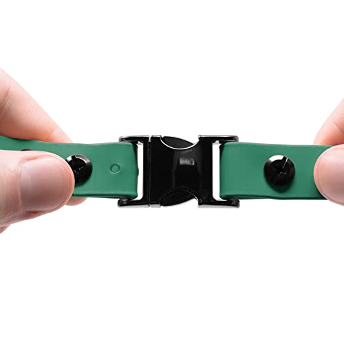 Educator 3/4-Inch Dog Training Collar Strap–ONLY Fits ME-300, ET-300/400, EZ-900, PE-900 & PG-300 Receivers – NOT Compatible with FE-580, ET-800 or UL-1200–Quick Snap Biothane Bungee Collar, Green - color: Green