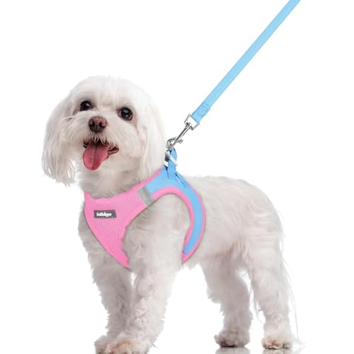 rabbitgoo Dog Harness Small Sized and Leash Set, Step in Soft Light Puppy Vest, Breathable Mesh Pet Harness, Reflective for Safe Easy Walking, Blue & Light Pink M - color: Blue & Light Pink, size: M (chest: 16 - 18.5")
