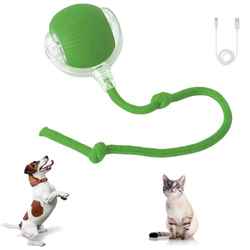 Interactive Cat Toys for Indoor Cats, 360° Automatic Moving Cat Ball, Rechargeable Rolling Ball, Toys for Indoor Interactive Kitten and Dog, Green