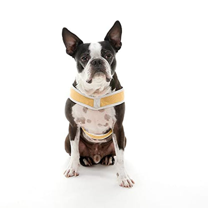 Gooby Simple Step in III Harness - Yellow, Medium - Small Dog Harness with Scratch Resistant Outer Vest - Soft Inner Mesh Harness for Small, Medium Dogs - color: Yellow, size: Medium chest (16.75∼21.5")