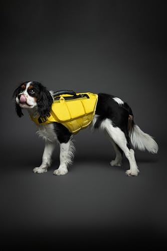 NOAH & PAW Dog Life Jacket, Human Standards Lifejacket Design, Dog Life Vest for Swimming and Boating, 3X Foam Support for Max Floating, Breathable Mesh, Salvavidas para Perros, Size M - size: M