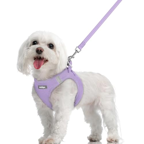 rabbitgoo Dog Harness Small Sized and Leash Set, Step in Soft Light Puppy Vest, Breathable Mesh Pet Harness, Reflective for Safe Easy Walking, Light Purple M - color: Light Purple, size: M (chest: 16 - 18.5")