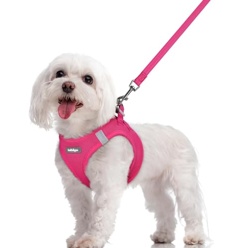 rabbitgoo Dog Harness Small Sized and Leash Set, Step in Soft Light Puppy Vest, Breathable Mesh Pet Harness, Reflective for Safe Easy Walking, Rose Red M - color: Rose Red, size: M (chest: 16 - 18.5")