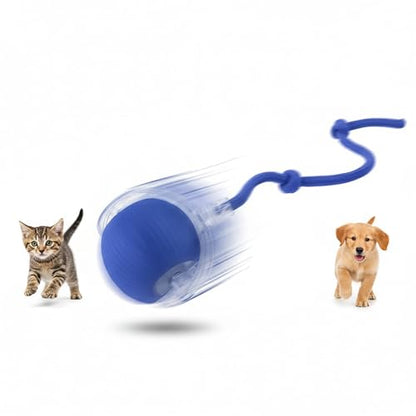 Interactive Cat Toys Ball for Cats - Upgrade Automatic Cat Toys for Indoor Cats, 3 Modes 2 Speed Moving Cat Ball (Blue) - color: Blue