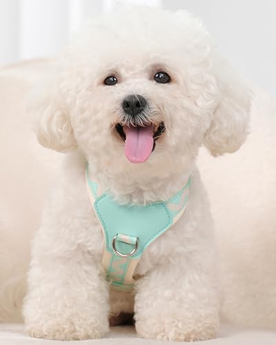 Petank Blue Medium Dog Harness for Medium Dogs, No Pull Dog Harness with 2 Leash Clips,Puppy Harness, Adjustable Dog Vest Harness (Blue, M) - color: Blue, size: M